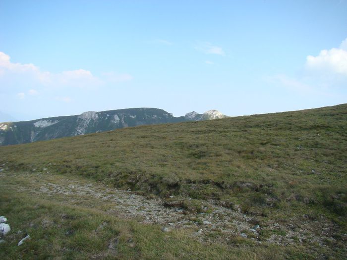 DSC00461