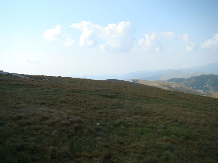 DSC00463