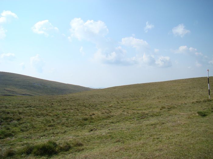 DSC00466