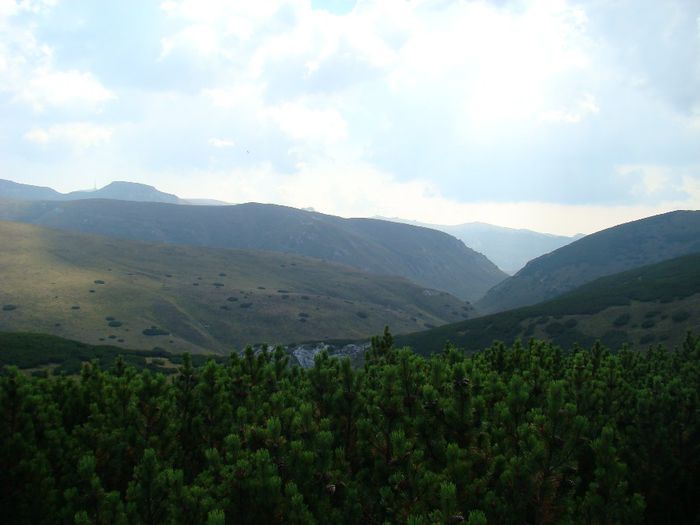 DSC00469