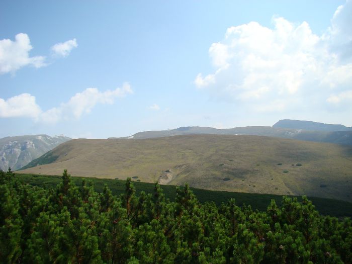 DSC00470