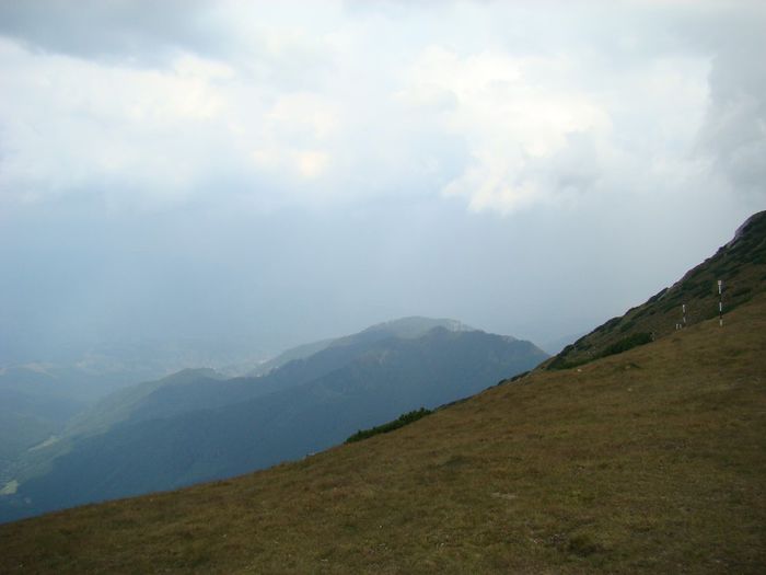 DSC00478