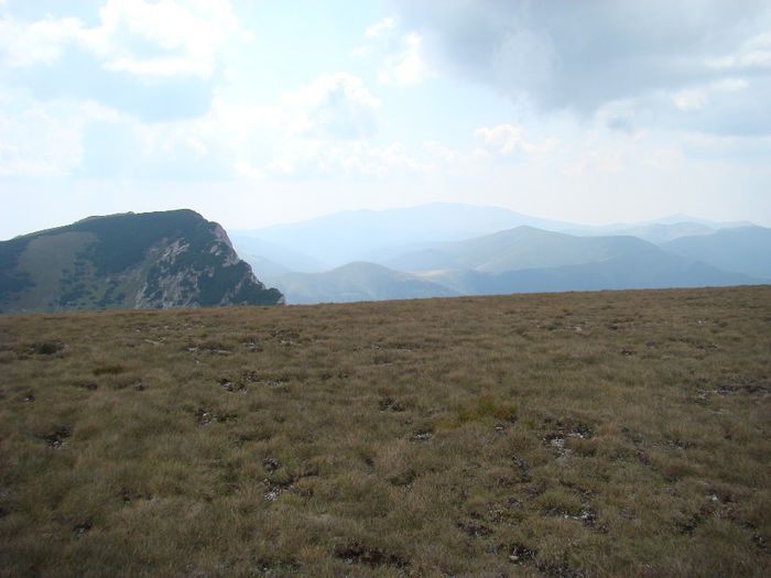 DSC00479