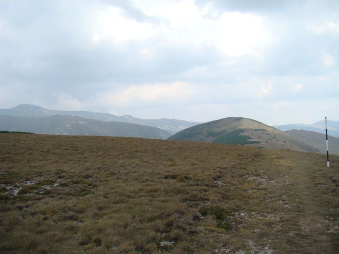 DSC00480