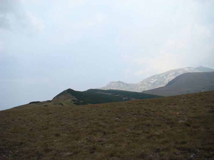 DSC00481