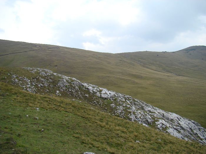 DSC00484