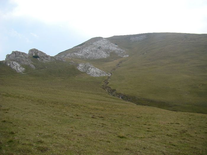 DSC00485