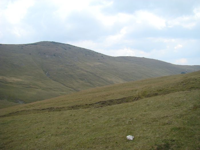 DSC00486