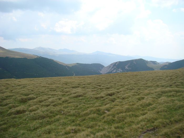 DSC00487
