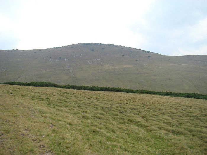 DSC00488