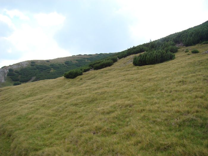 DSC00489