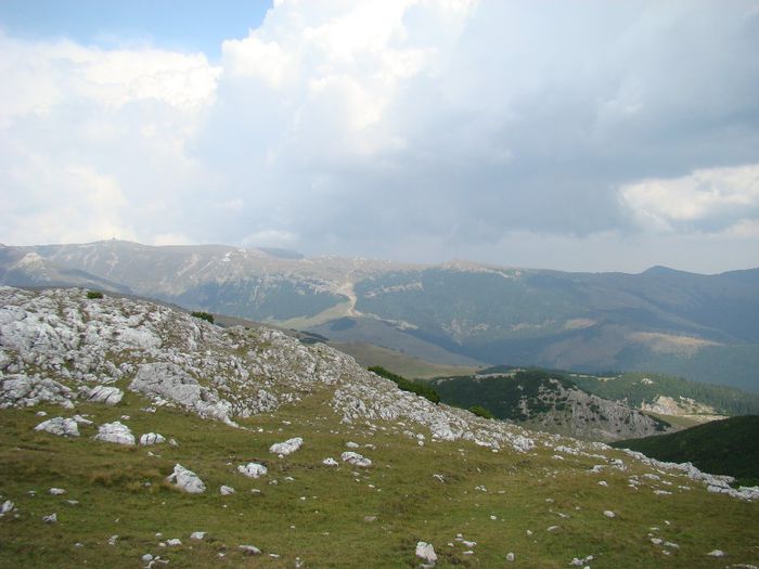 DSC00493