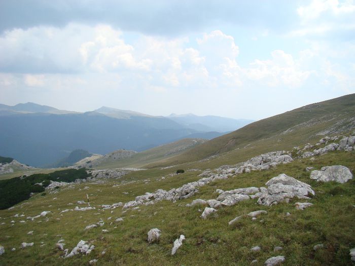 DSC00494