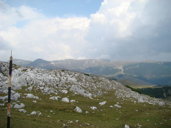 DSC00495