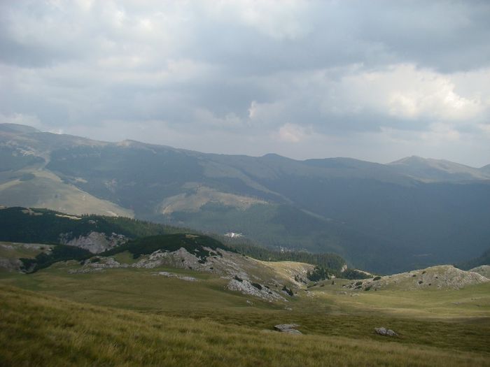 DSC00498