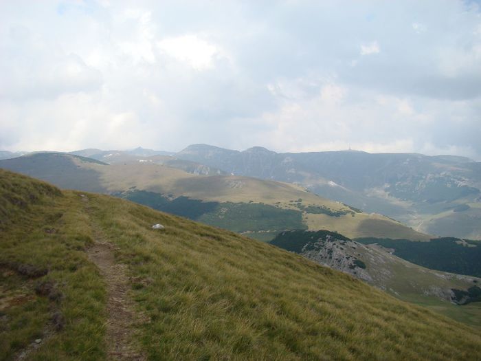 DSC00499