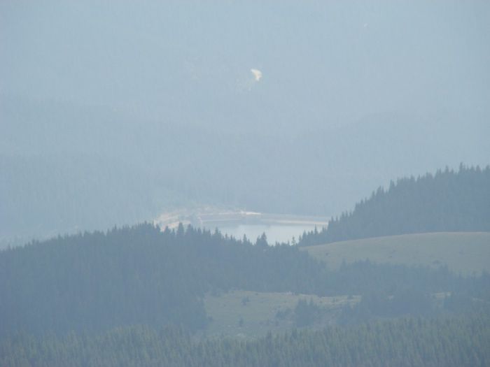DSC00500