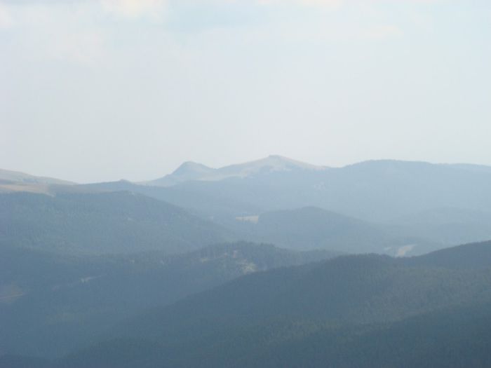 DSC00501