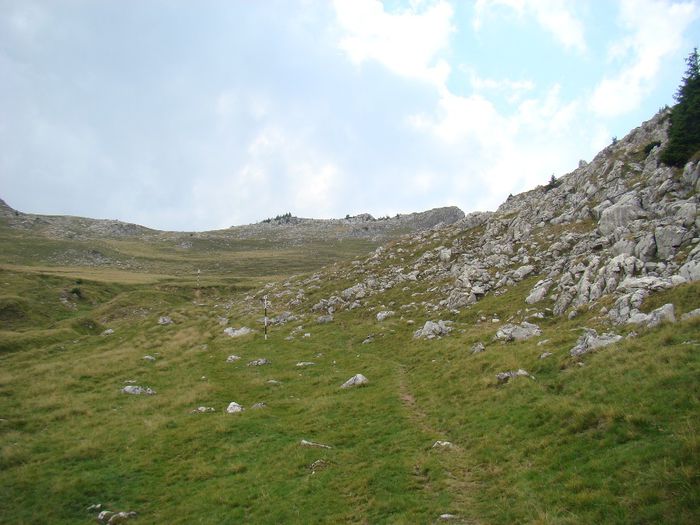 DSC00502