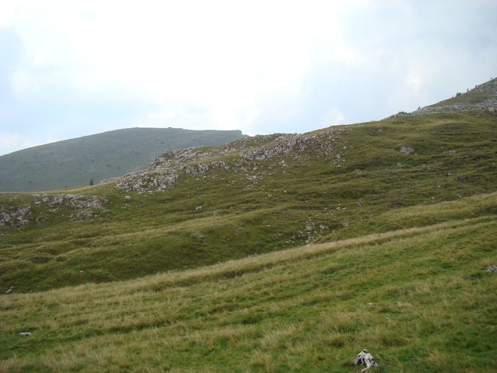 DSC00503
