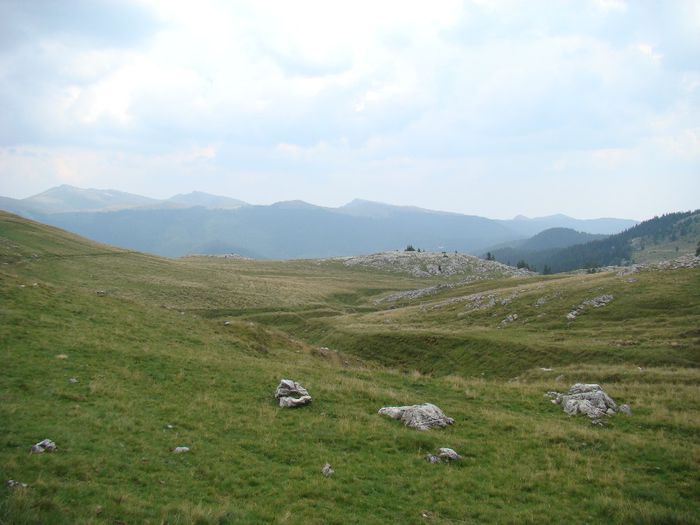 DSC00504