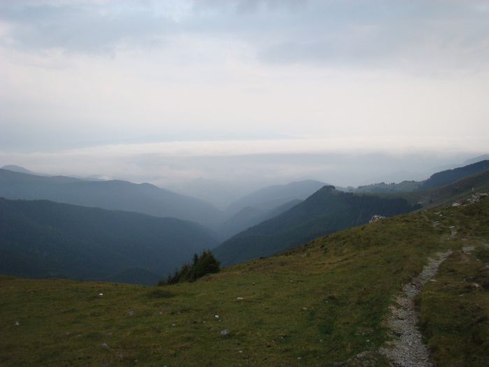 DSC00506