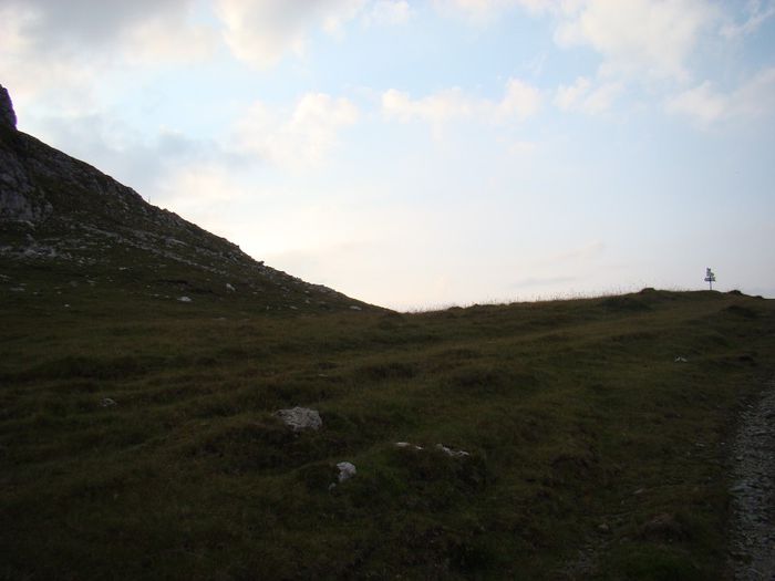 DSC00509