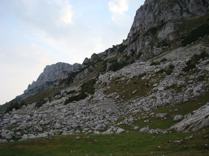 DSC00510