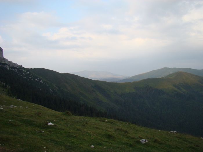 DSC00511