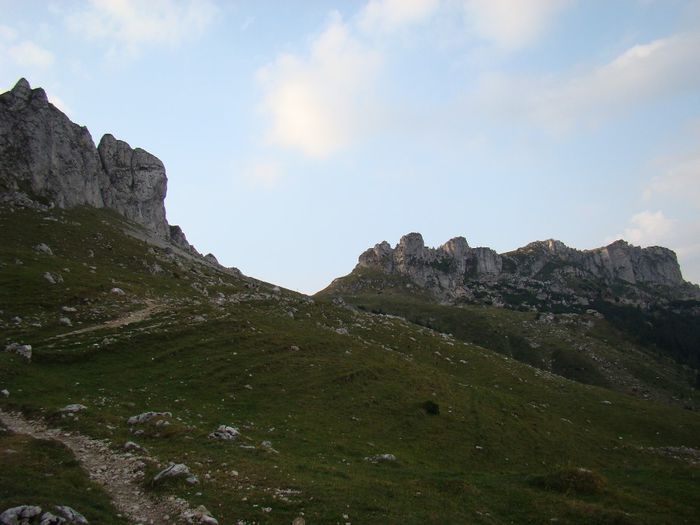 DSC00512