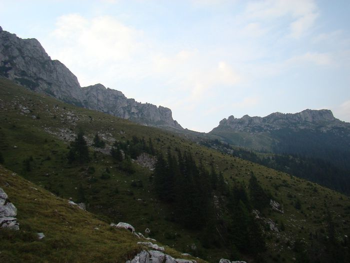DSC00513