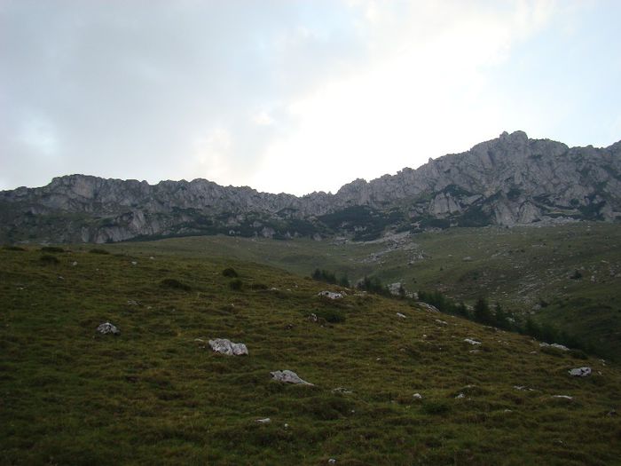 DSC00514