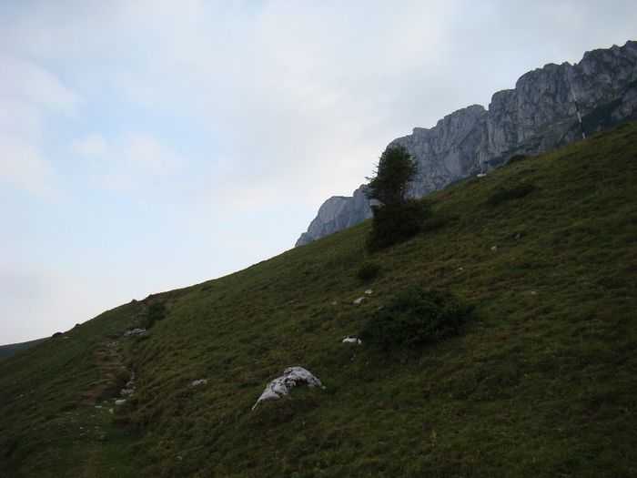 DSC00515
