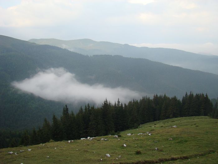 DSC00516