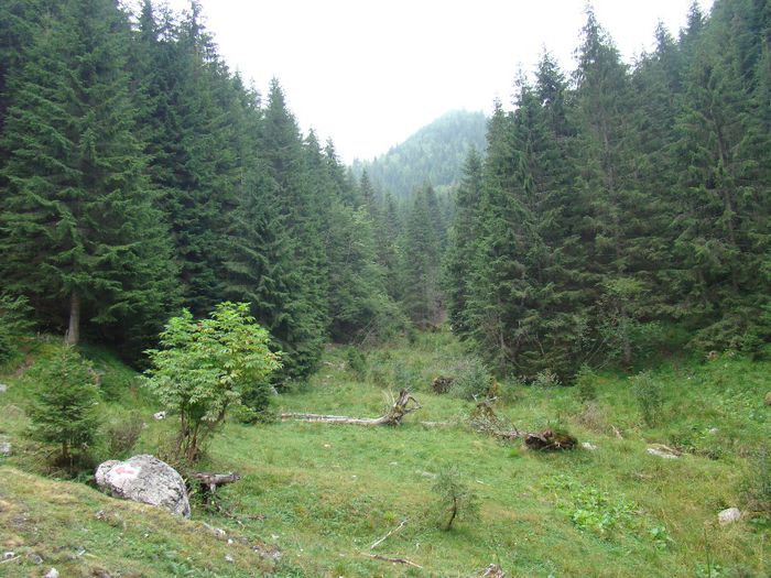 DSC00525