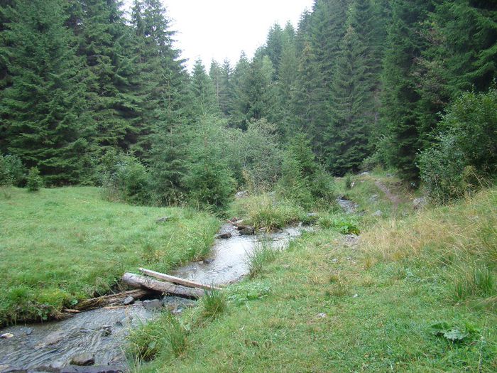 DSC00532