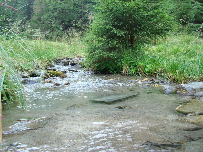 DSC00533