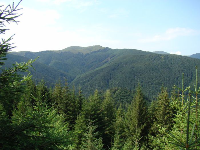 DSC00540