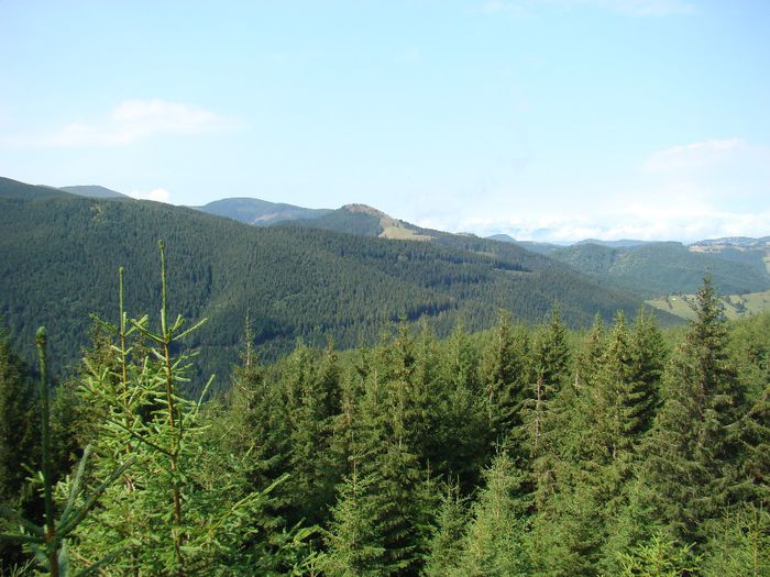DSC00541