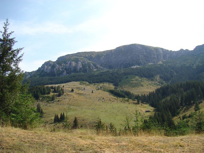 DSC00545