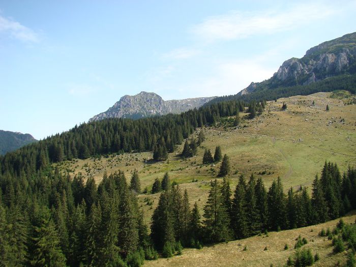 DSC00547