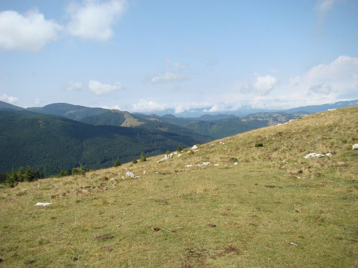 DSC00549