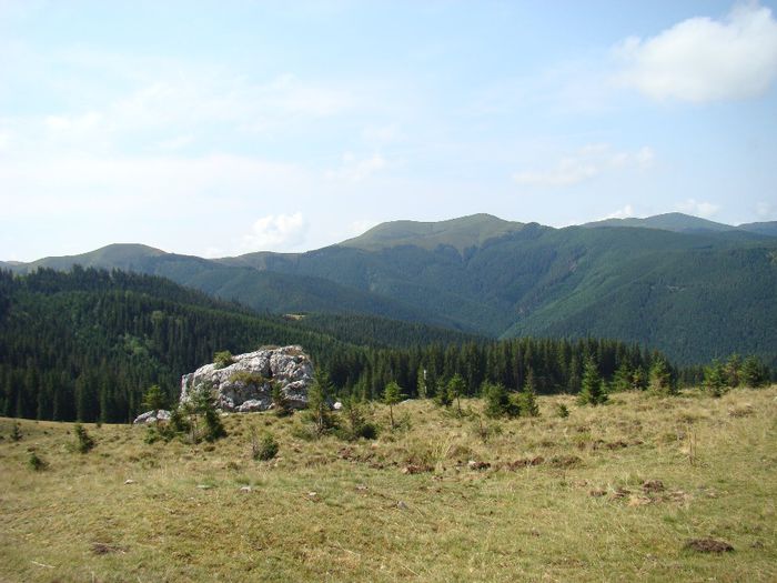DSC00550