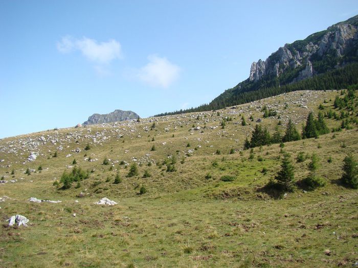 DSC00552