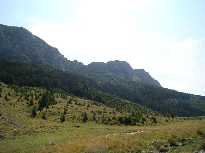 DSC00553
