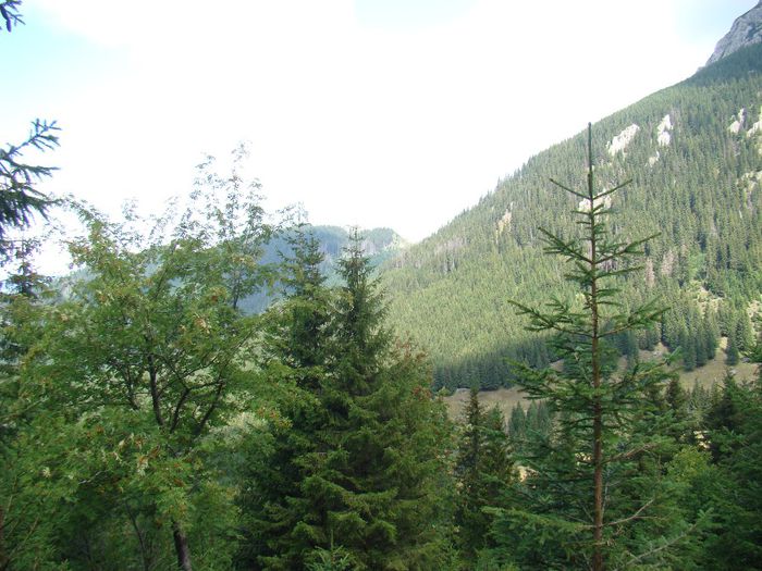 DSC00558