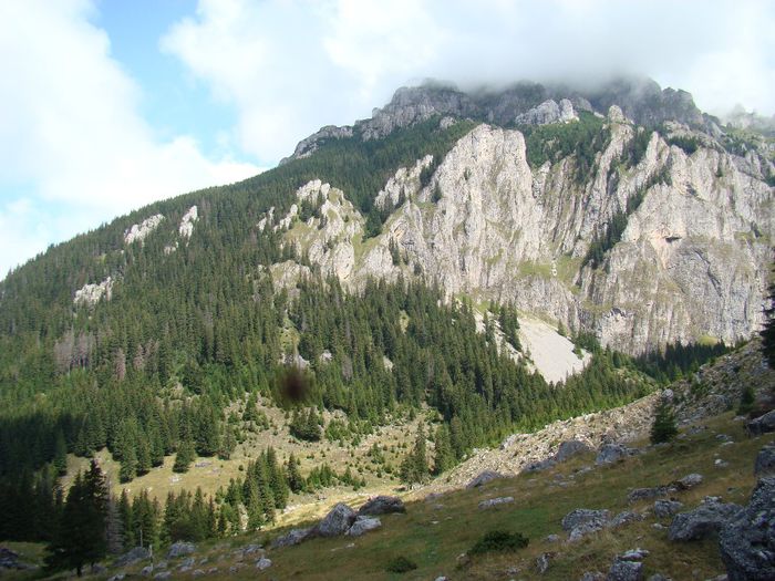 DSC00560