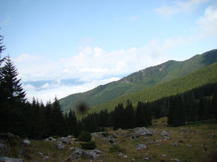 DSC00561