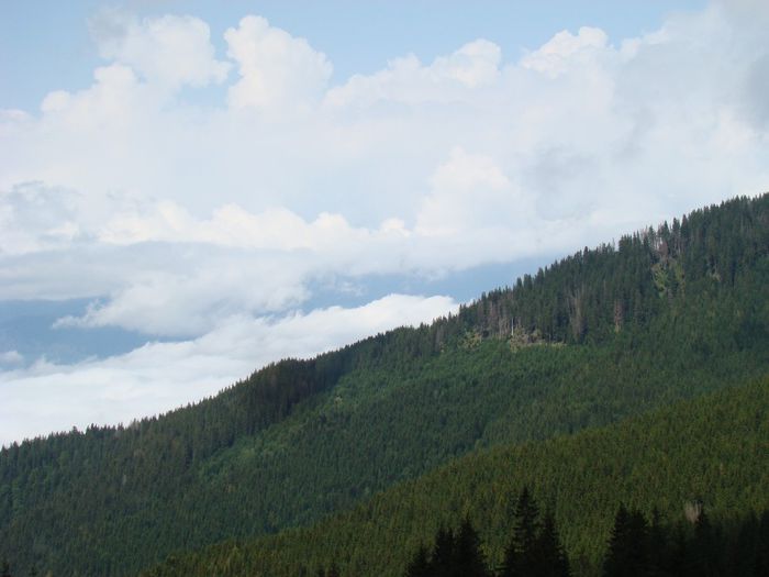 DSC00562