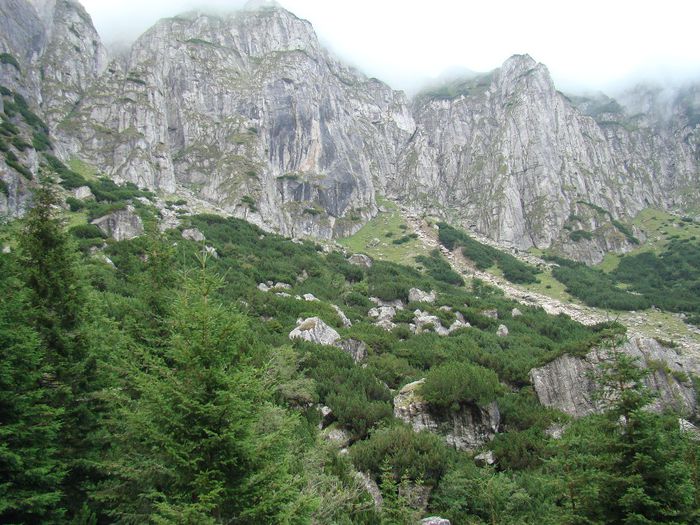 DSC00580